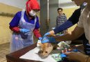 World Rabies Day 2023 Gratiskan Vaksin Binatang Peliharaan