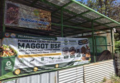 USB YPKP Berikan Pelatihan Teknologi Budidaya Maggot BSF Untuk Kelompok PASIMA Kelurahan Padasuka